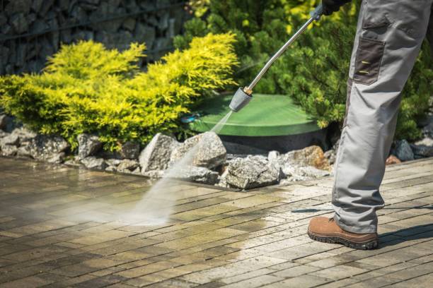 Best Driveway Cleaning and Restoration in Luxemburg, WI