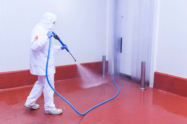 Best Rust and Stain Removal in Luxemburg, WI
