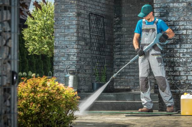 Best Graffiti Removal Services in Luxemburg, WI